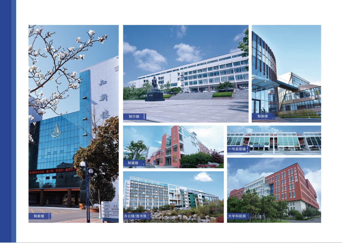 2023年800cc全讯白菜网主站宣传册