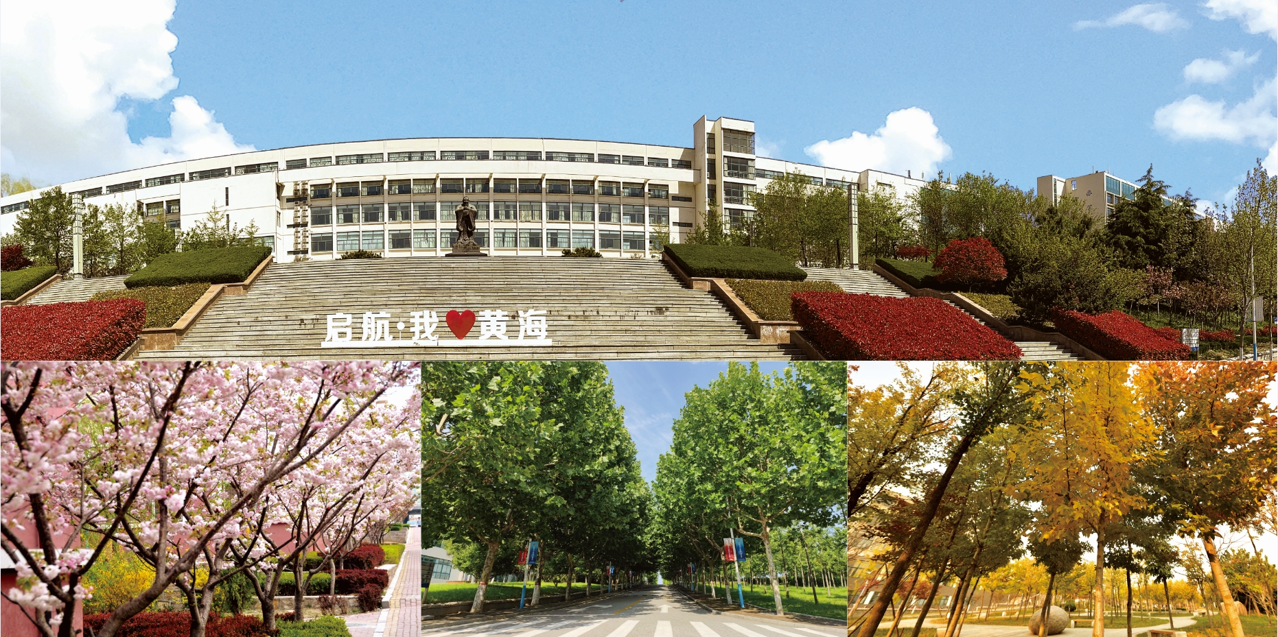 2021年800cc全讯白菜网主站校庆宣传册